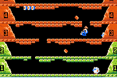 Classic NES Series - Ice Climber Screenshot 1